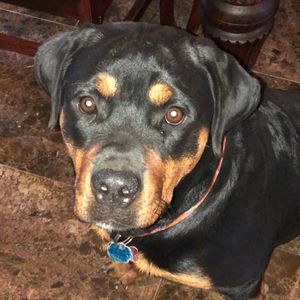 Meet your Posher, Gina